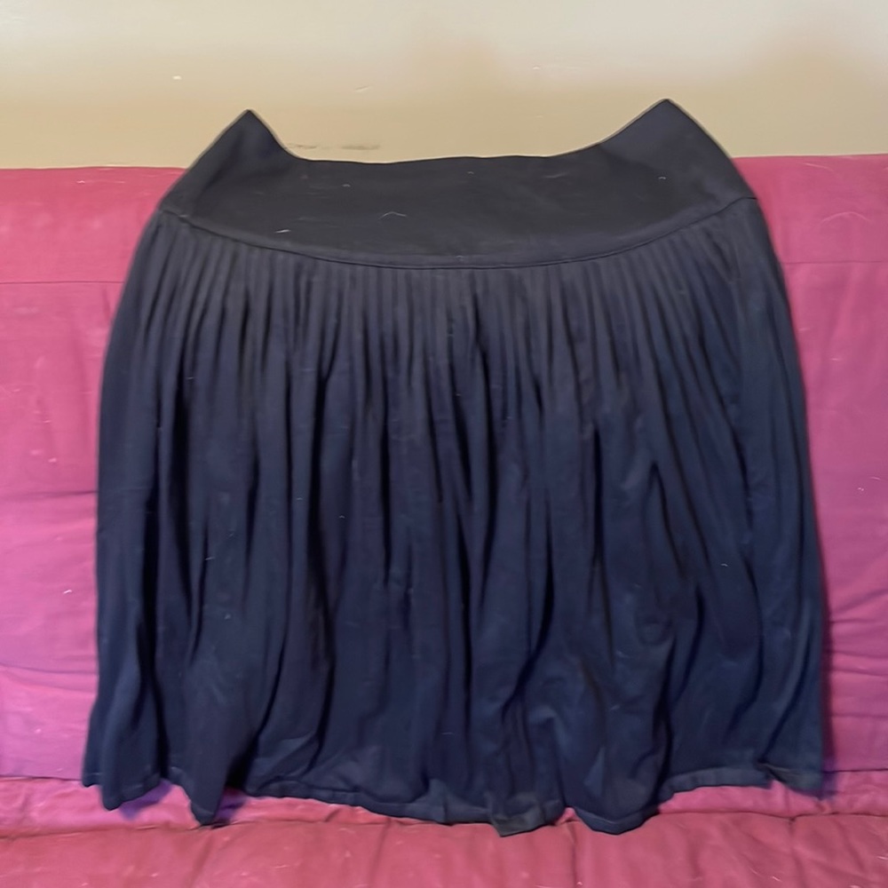 Black pleatedcircle skirt